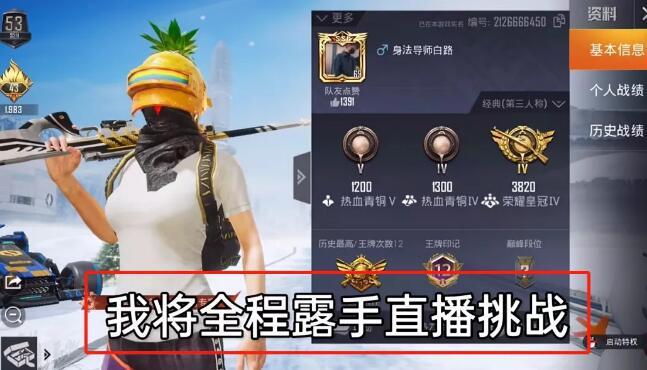 和平精英IOS辅助【sSs内部】免越狱使用，陪玩专用，低调上分